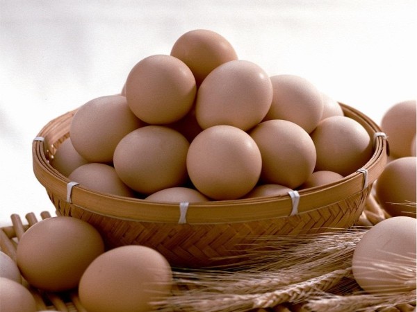 褐壳蛋蛋壳颜色影响因素解析