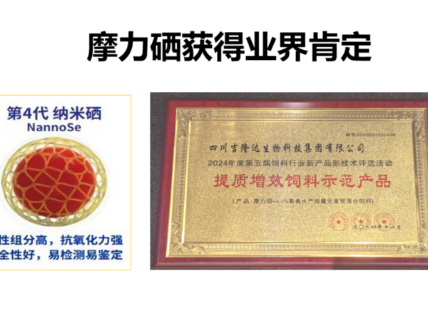 载誉前行——摩力硒荣获“提质增效饲料示范产品”称号