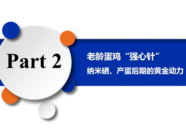 老龄蛋鸡“强心针”——摩力硒，产蛋后期的黄金动力
