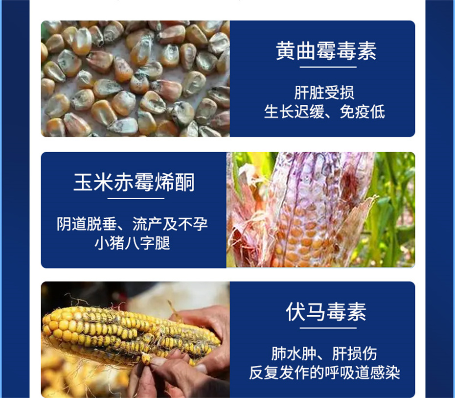 吉隆达动保饲料添加剂脱霉卫士产品介绍