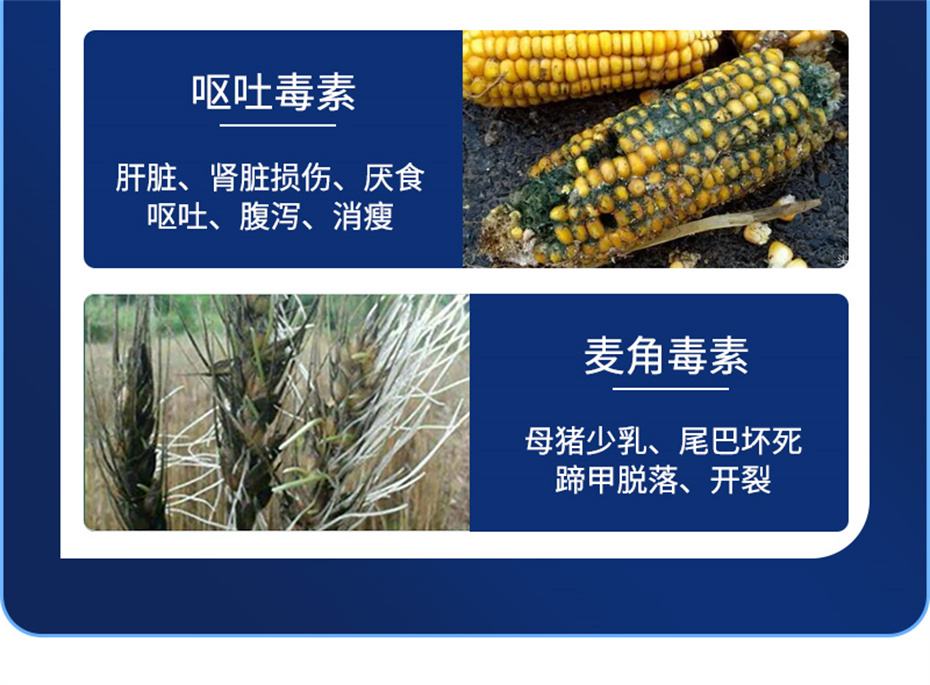 吉隆达动保饲料添加剂脱霉卫士产品介绍