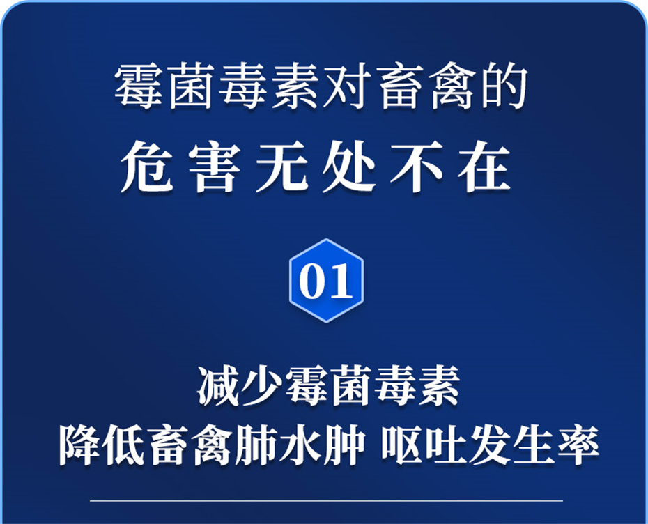 吉隆达动保饲料添加剂脱霉卫士产品介绍