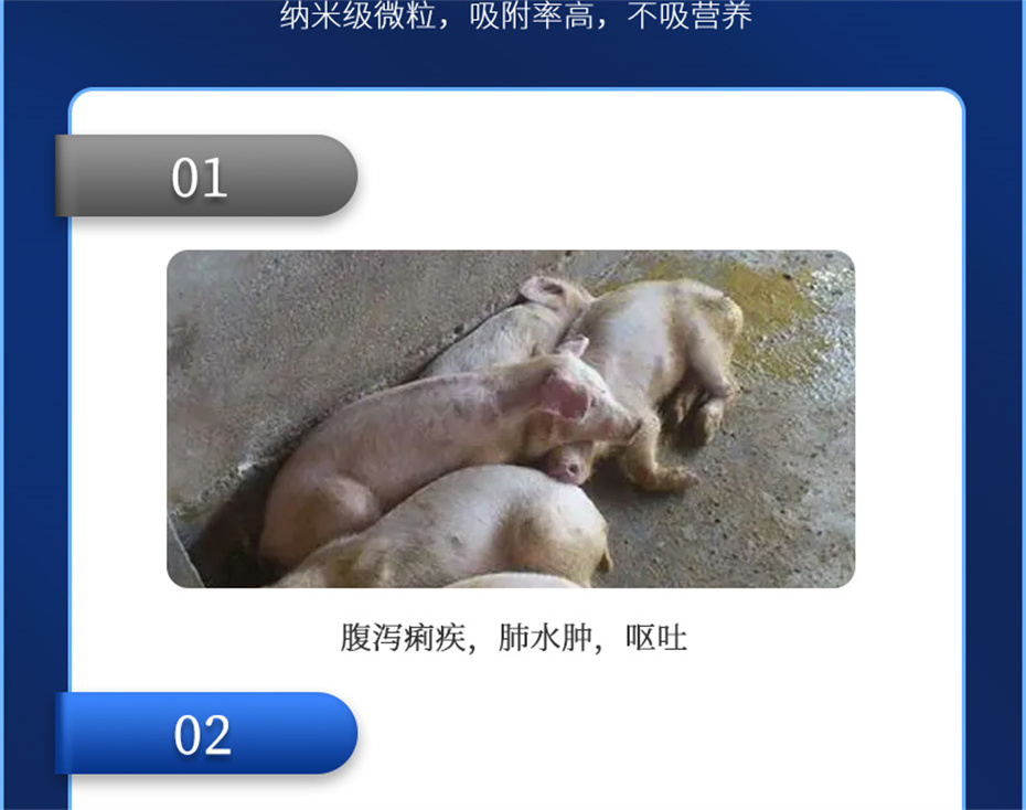吉隆达动保饲料添加剂脱霉卫士产品介绍