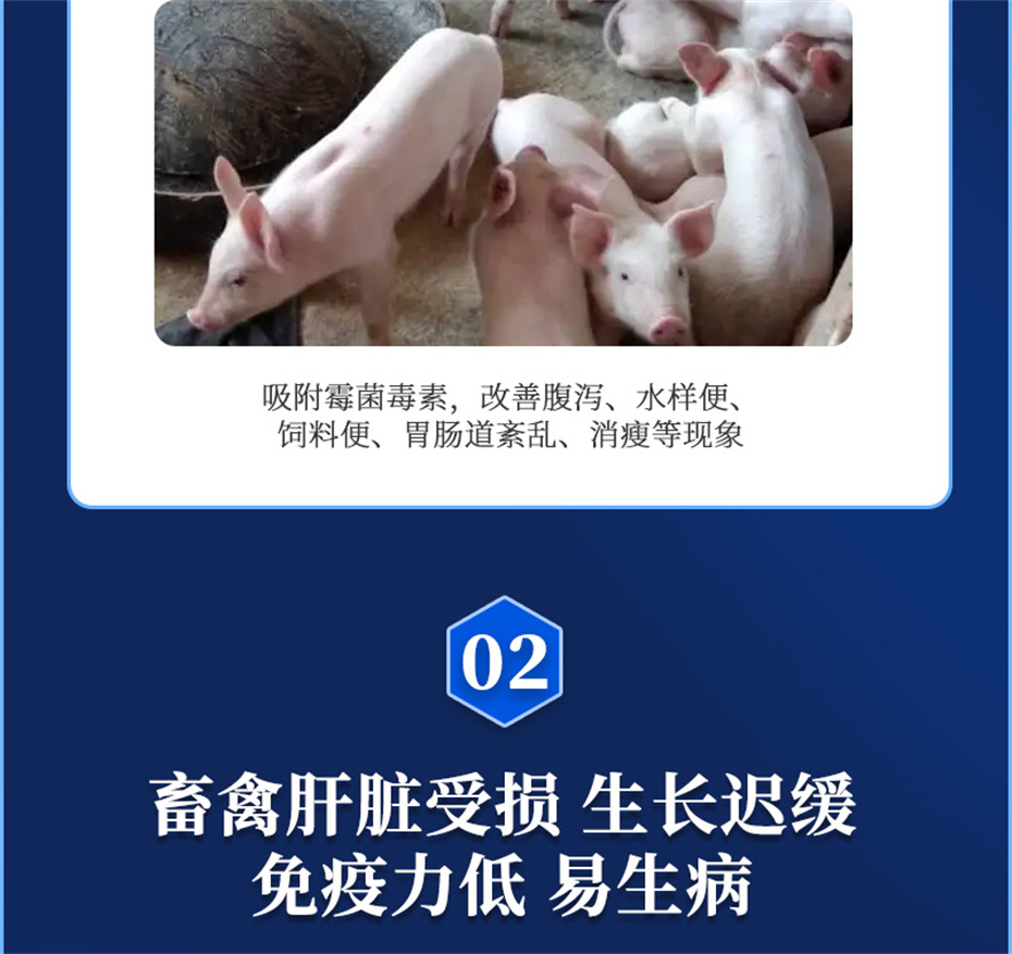 吉隆达动保饲料添加剂脱霉卫士产品介绍