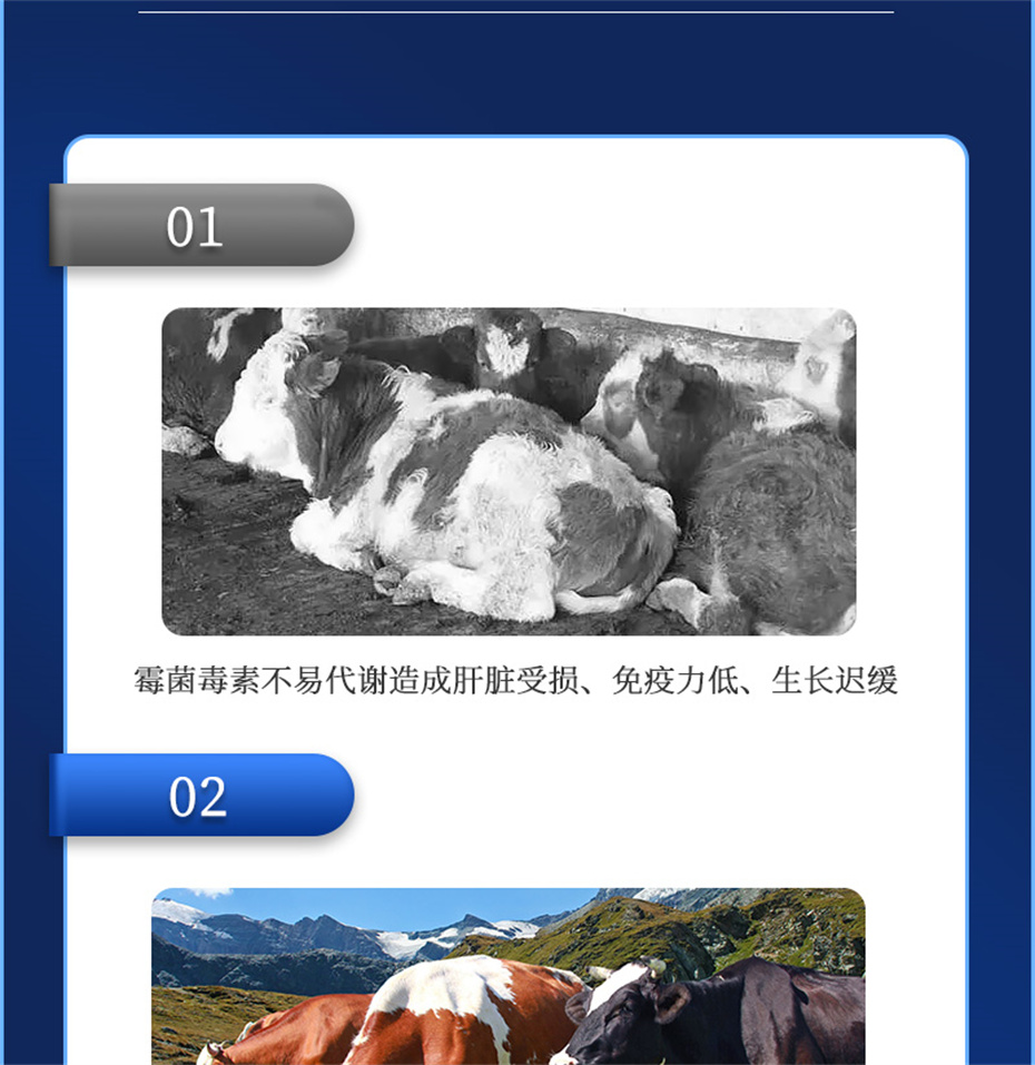 吉隆达动保饲料添加剂脱霉卫士产品介绍