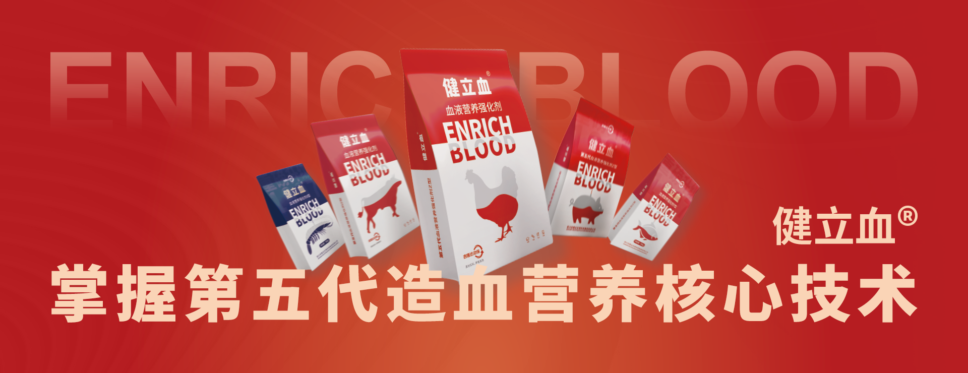 吉隆达-健立血5.0