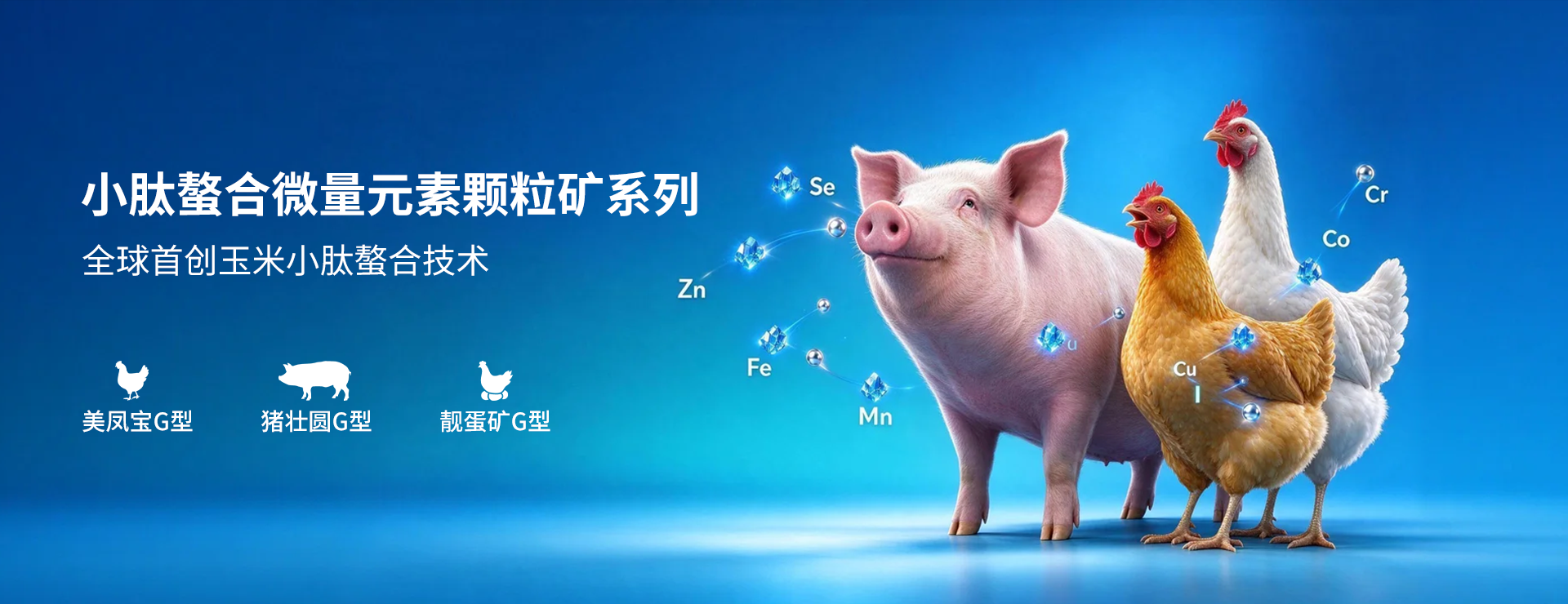 首页动物营养产品2